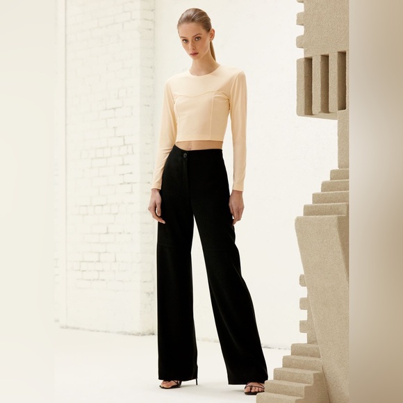 1-01 Babaton Aritzia Artemis Long Sleeve Bustier Top - Picture 3 of 11